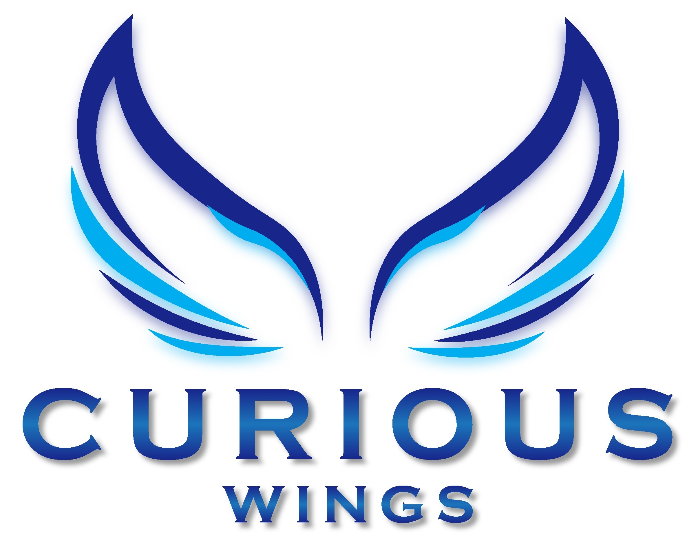 Curious wings Logo